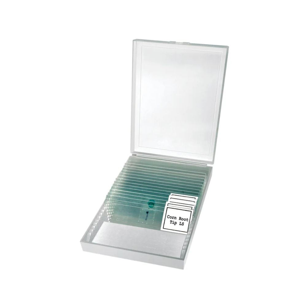 Bresser Erudit Basic Bino 40x-400x Microscope