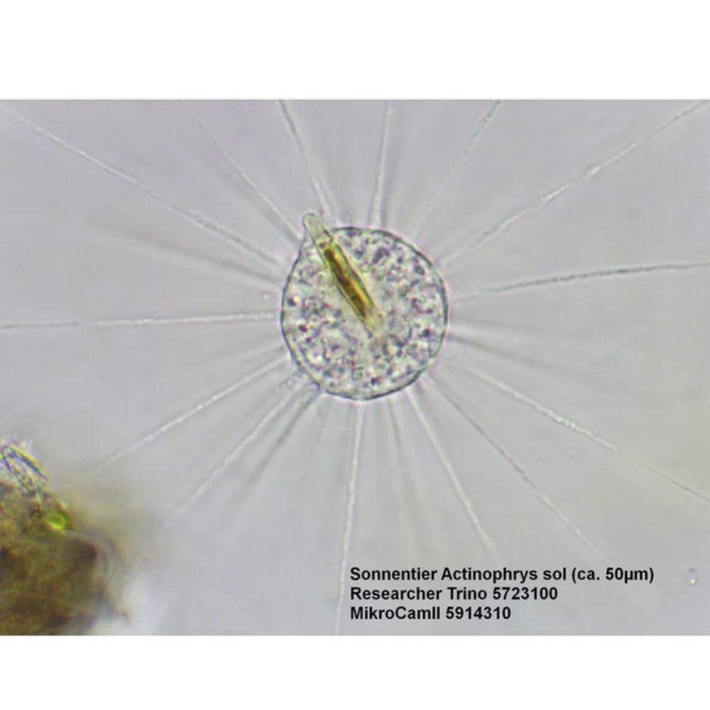 Bresser Trino Researcher II 40-1000x Microscope