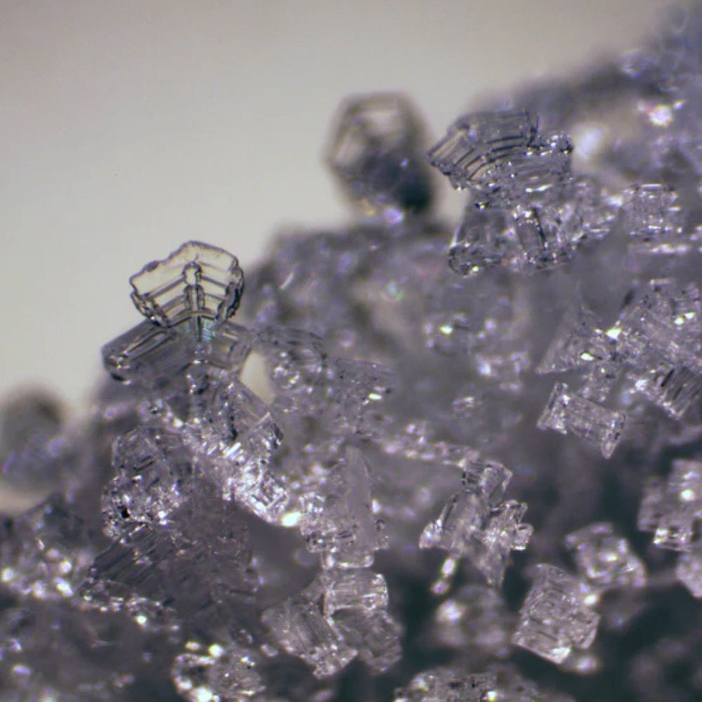 Bresser Erudit ICD Stereo Microscope