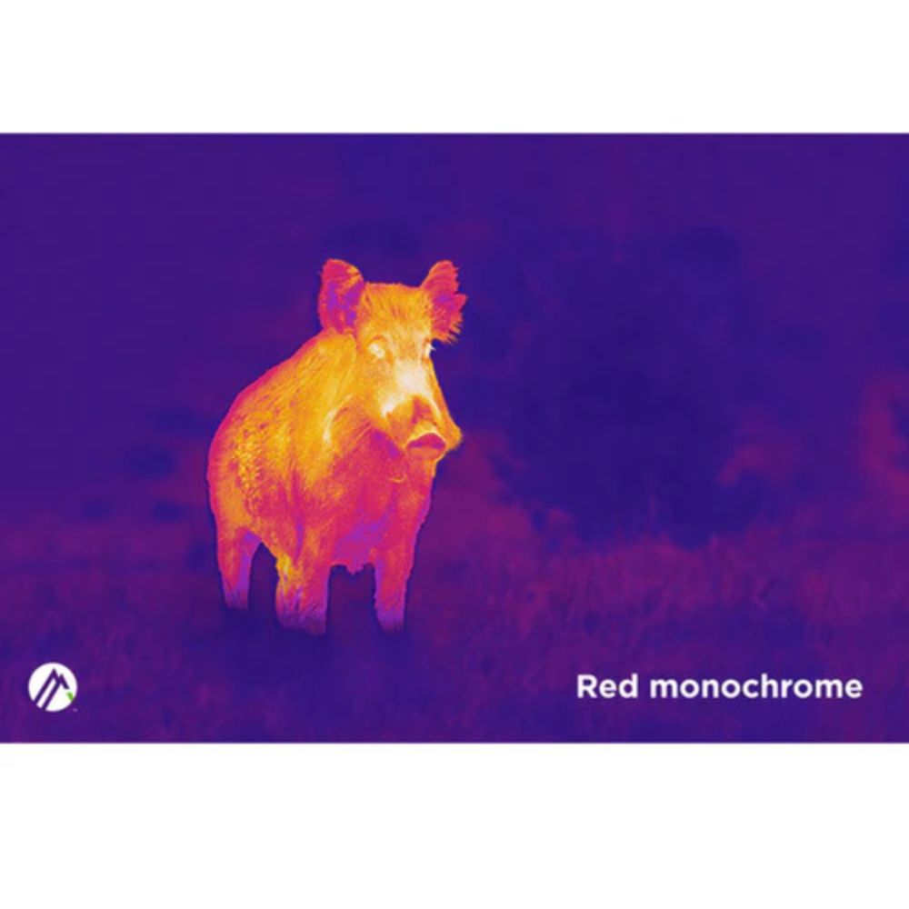 Alpen Apex 25mm Thermal Monocular