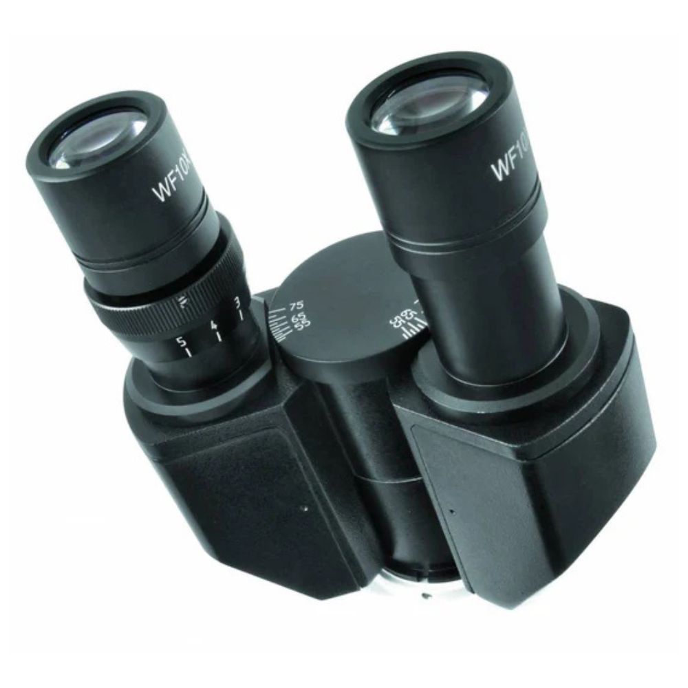 Bresser Science IVM 401 Microscope