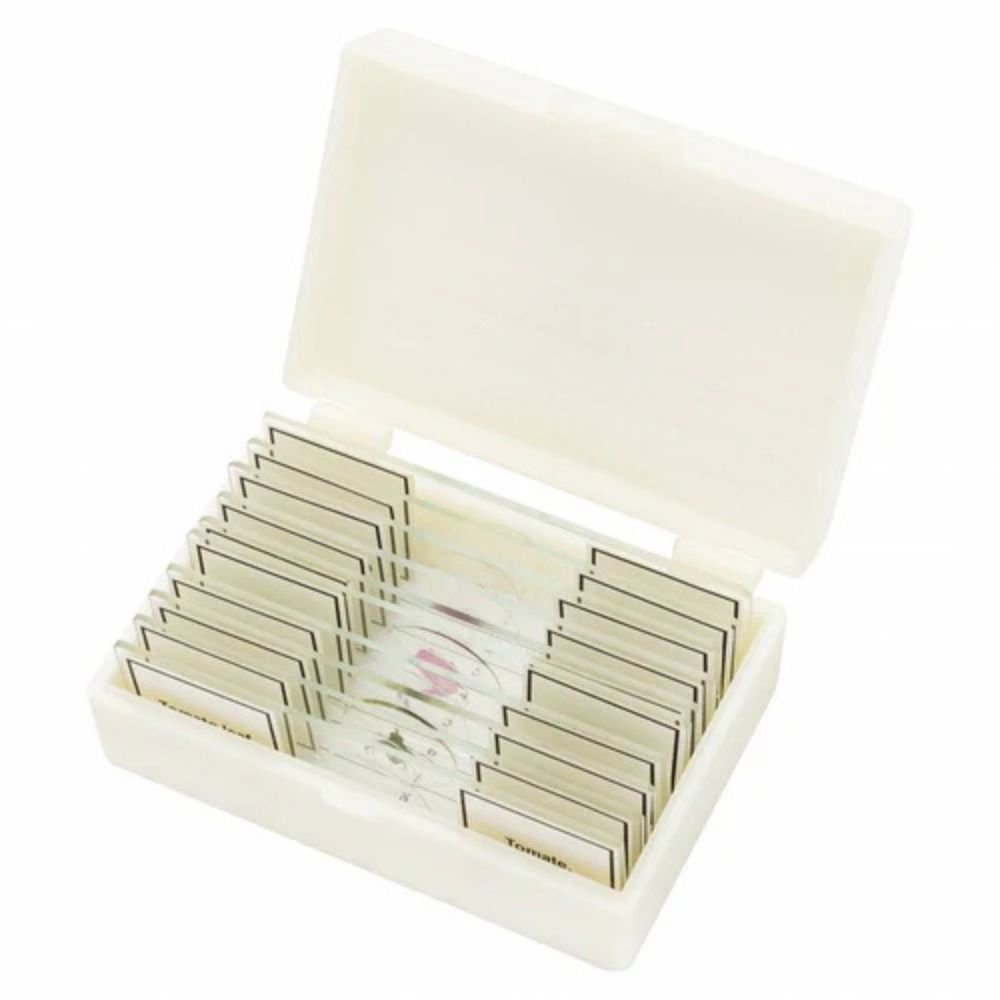 Bresser Set of 10 High Quality Prepared slides