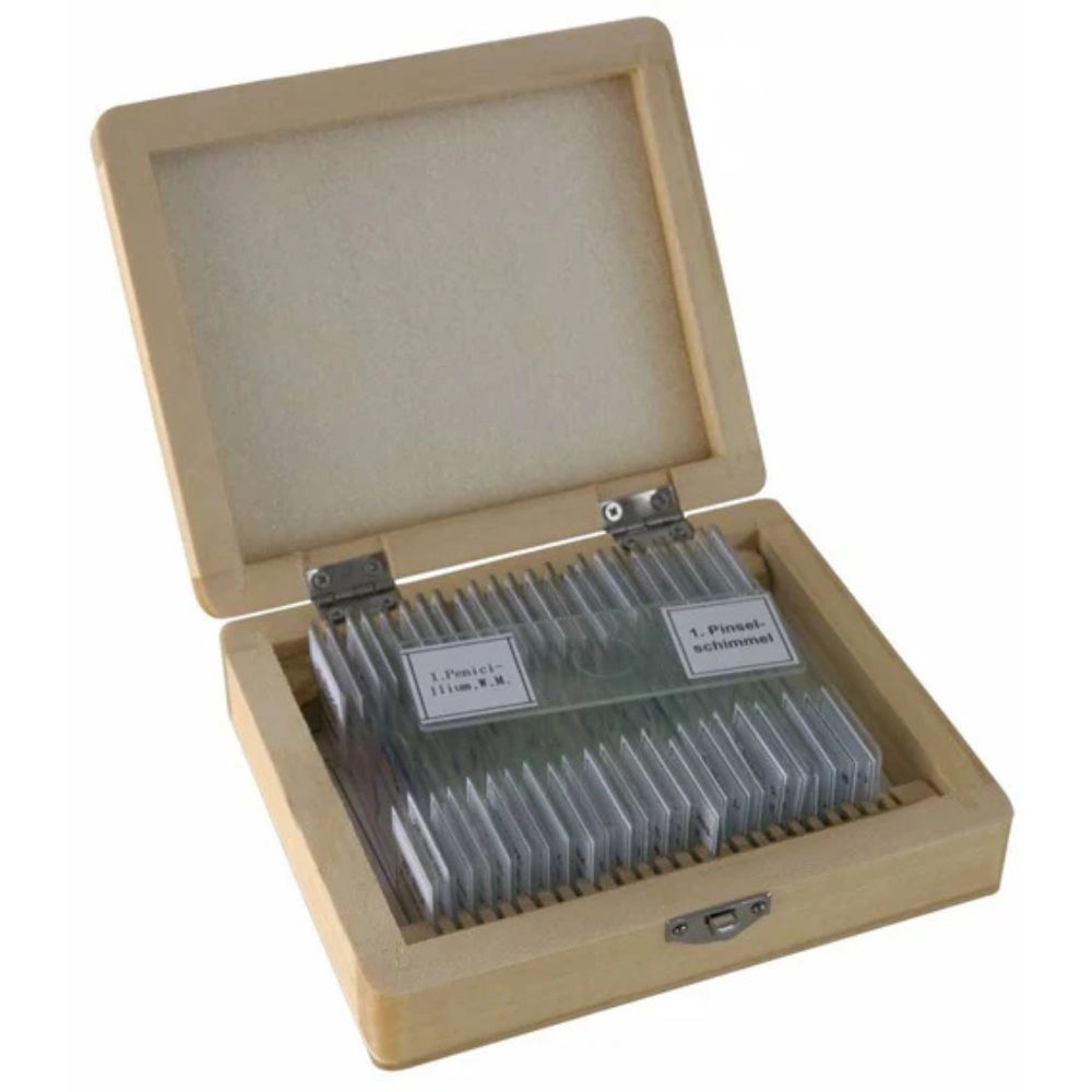 Bresser Prepared Slides 25pcs per box