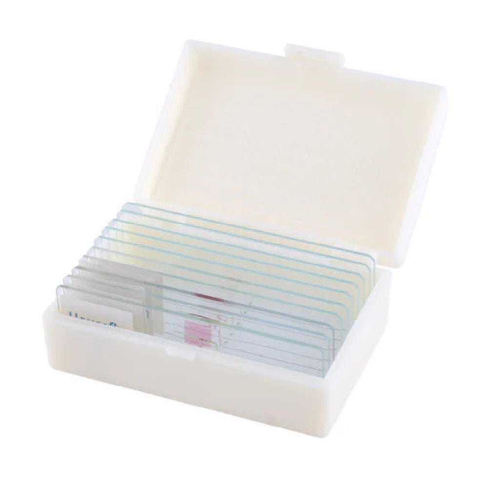 National Geographic 21x-840x Digital Microscope with 4.3-inch LCD Touchscreen and Integrated Camera